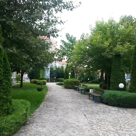 Elit I Slăntjev Brjag